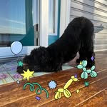 Tan Mac - @tanlm74 - Instagram