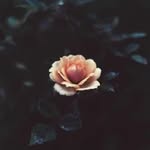 Dương Thiên Hy - @tanmann_emo - Instagram
