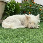 Tanmay Rawat - @tan_mann_may - Instagram