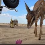 Tan Mohammed - @x._ta.__09 - Instagram
