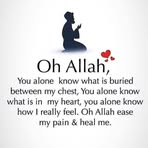 Tan Mohammed - Facebook