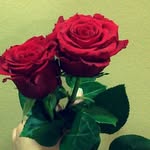 tanninh - @tanninh3512 - Instagram