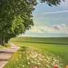 Tanlanquan - @tanlanquan - TikTok