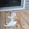 Titan Smith - @titan.smith0 - TikTok