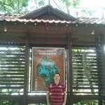 Tan Yew Hin - @yhtigress - Instagram
