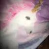 Tanashia Freeman - @tanashiafreeman - TikTok