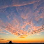 Tana Wall - @tana_345678 - Instagram