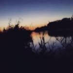 Tana - @tanawolfe25 - Instagram