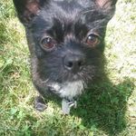 Randy Smith - @tandy.smith - Instagram