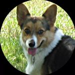 Tandy Smith - @tandy.smith.1265 - Instagram
