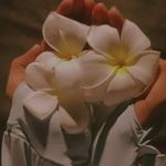 Tanisha Eppakayala - @_tanisha_2429 - Instagram