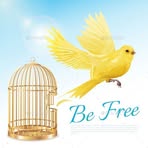 Tanveer Akhter - Facebook