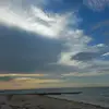Tania Albert - @taniaalbert1 - TikTok