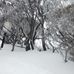Tania Bain - Facebook