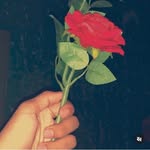 Tania_Bains_ - @tania_bains_07 - Instagram