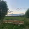 Tania Boone - @tania.boone - TikTok
