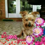 Tania Booth - Facebook
