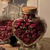 tania_ceja - @tania_ceja - TikTok