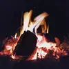 Tania Coker-davies - @lemon.panda44 - TikTok