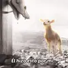 Tania Deleon - @tania.deleon4 - TikTok