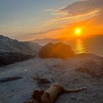 Tania Dimitrova - @_taniadimitrova_ - Instagram