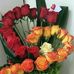 Tania Dimitrova - Facebook