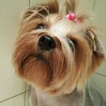 Tania Dimitrova - @tania.dimitrova.712714 - Instagram