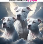Tania Dodd - Facebook