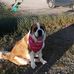 Tanya Evelyn Donovan - Facebook