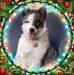 Tanya Duke - Facebook