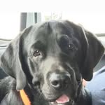 Tanya Dunlap - @tanya.baker.71697 - Instagram
