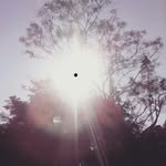 tania duval - @duvaltania - Instagram
