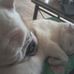 Tania Dyer - Facebook