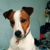 Tania T - @tania_ely - TikTok