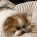 Tanya Ernst - Facebook
