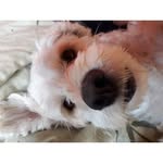 tania_estrella - @tania_estrellaa - Instagram
