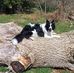 Tania Ferris - Facebook