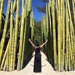 Tania Font - @tandulceyacida - Instagram