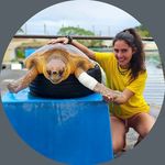 Tania Gilbert - @tgilbert974 - Instagram