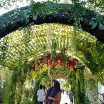 Tania Gilbert - @thania_gilbertwm - Instagram