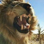 Tanya Gilmore - @tanya.gilmore_.1.8 - Instagram