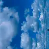 Tania Ugalde - @tania_ugalde_ - TikTok