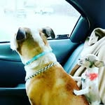 Tanisha Hanson - @daddys_girl_love345 - Instagram