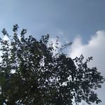tanishalamba__ - @tanishalamba__ - Instagram