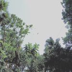Tanisha - @tanisha_patrick7861 - Instagram