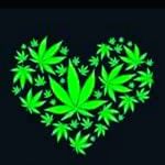 Tanisha Pearson - @hempoilqueen - Instagram