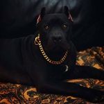 taniya smith brown - @tani9198 - Instagram