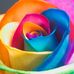 Tanja Bell - Facebook