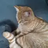 Tanja Cook990 - @tanjacook - TikTok