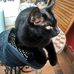 Tanja Dillmann - Facebook